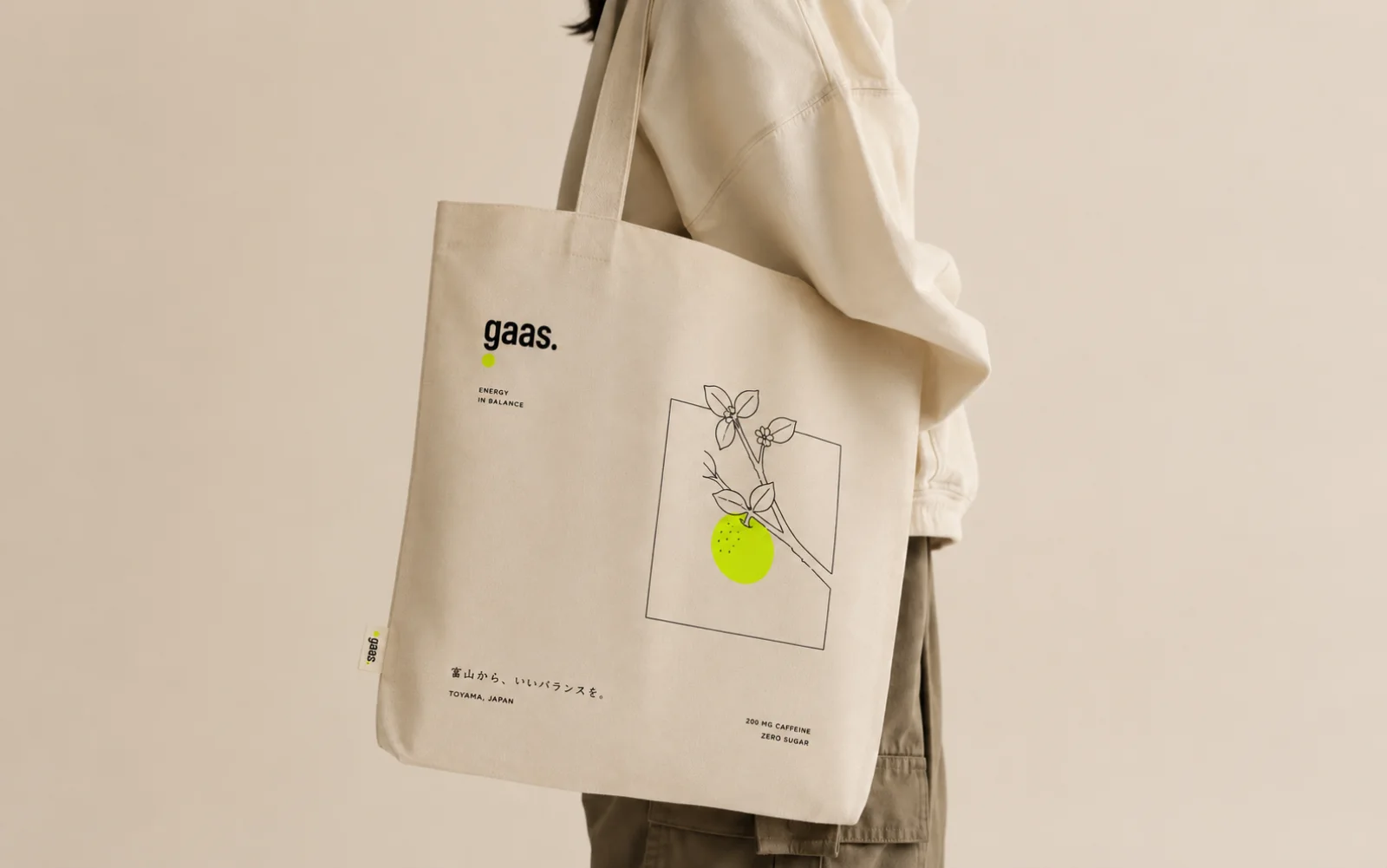 Gaas, ai product